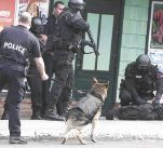 ERT use k9 in arrest